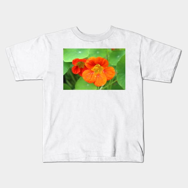 Nasturtium Flowers Kids T-Shirt by pinkal